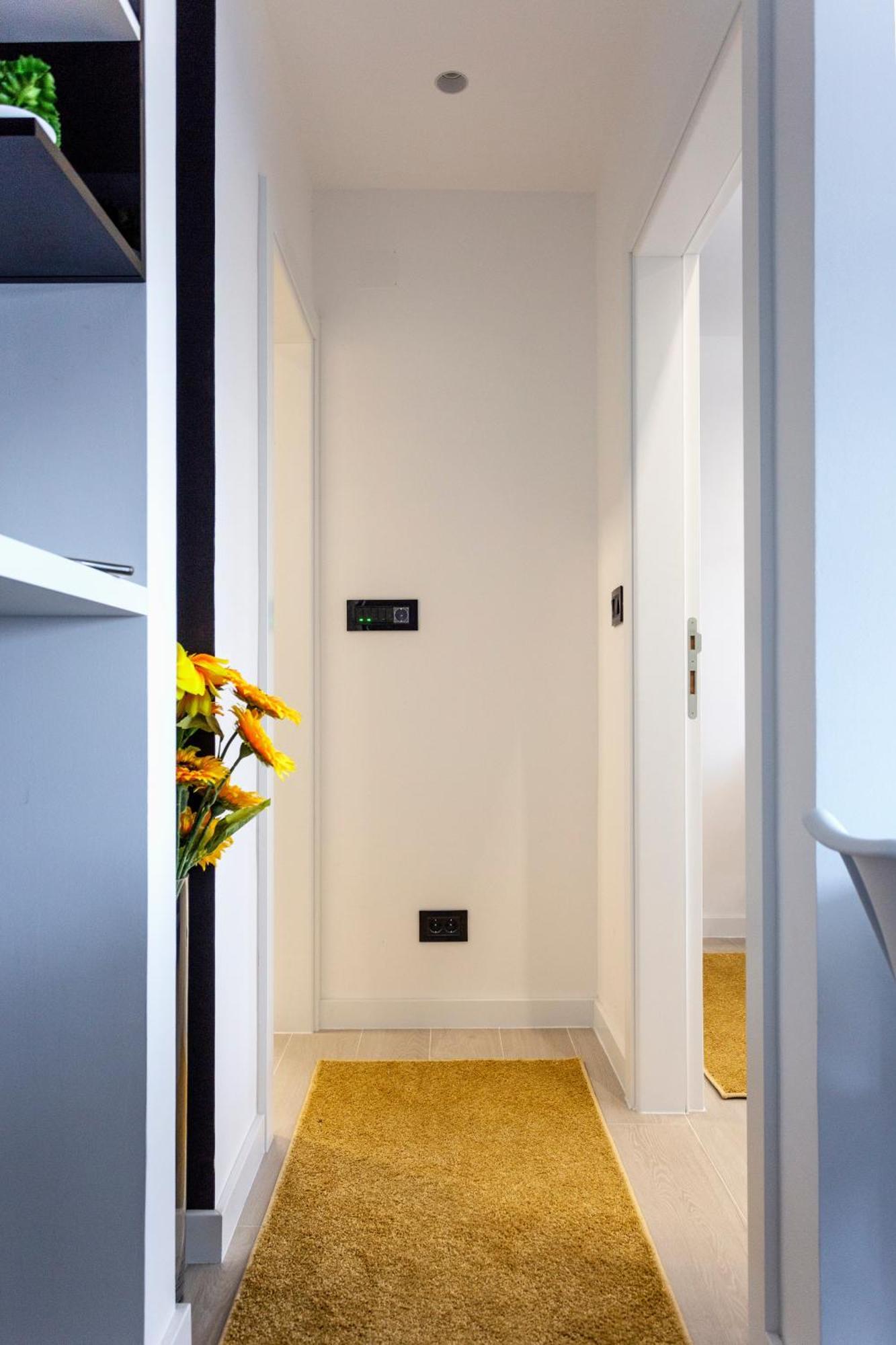 Park Apartment Novi Sad Dış mekan fotoğraf